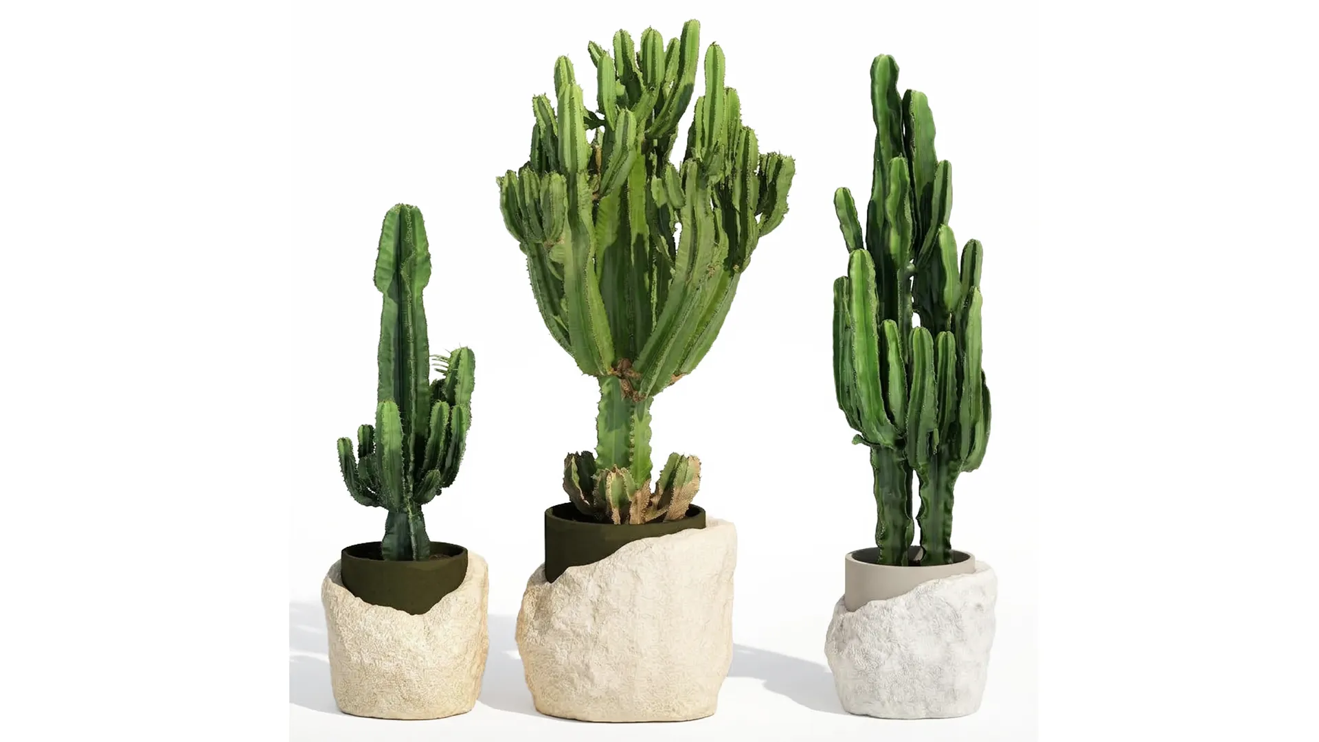 Cacti white stone pots Cereus Euphorbia cactus set plants decor 3D Model .c4d .max .obj .3ds .fbx .stl .blend 