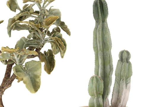 Set Plans Flowerpots Kalanchoe Cereus Cactus Bush 3D Model