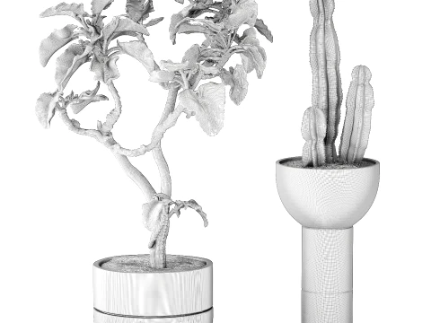 Set Plans Flowerpots Kalanchoe Cereus Cactus Bush 3D Model