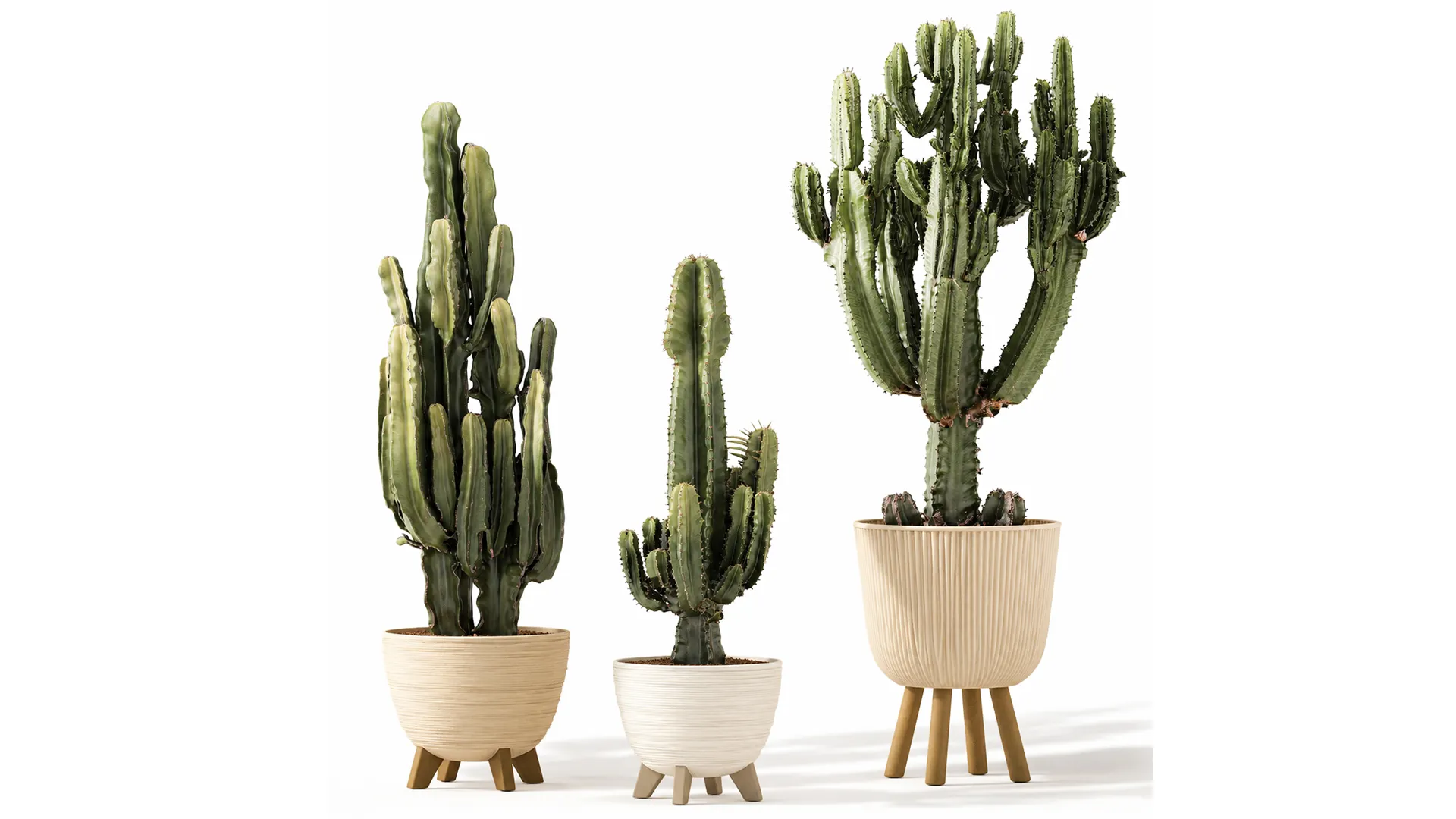 Cacti Pots Cereus Cactus Opuntia Prickly pear set Euphorbia top 3D Model .c4d .max .obj .3ds .fbx .stl .blend 
