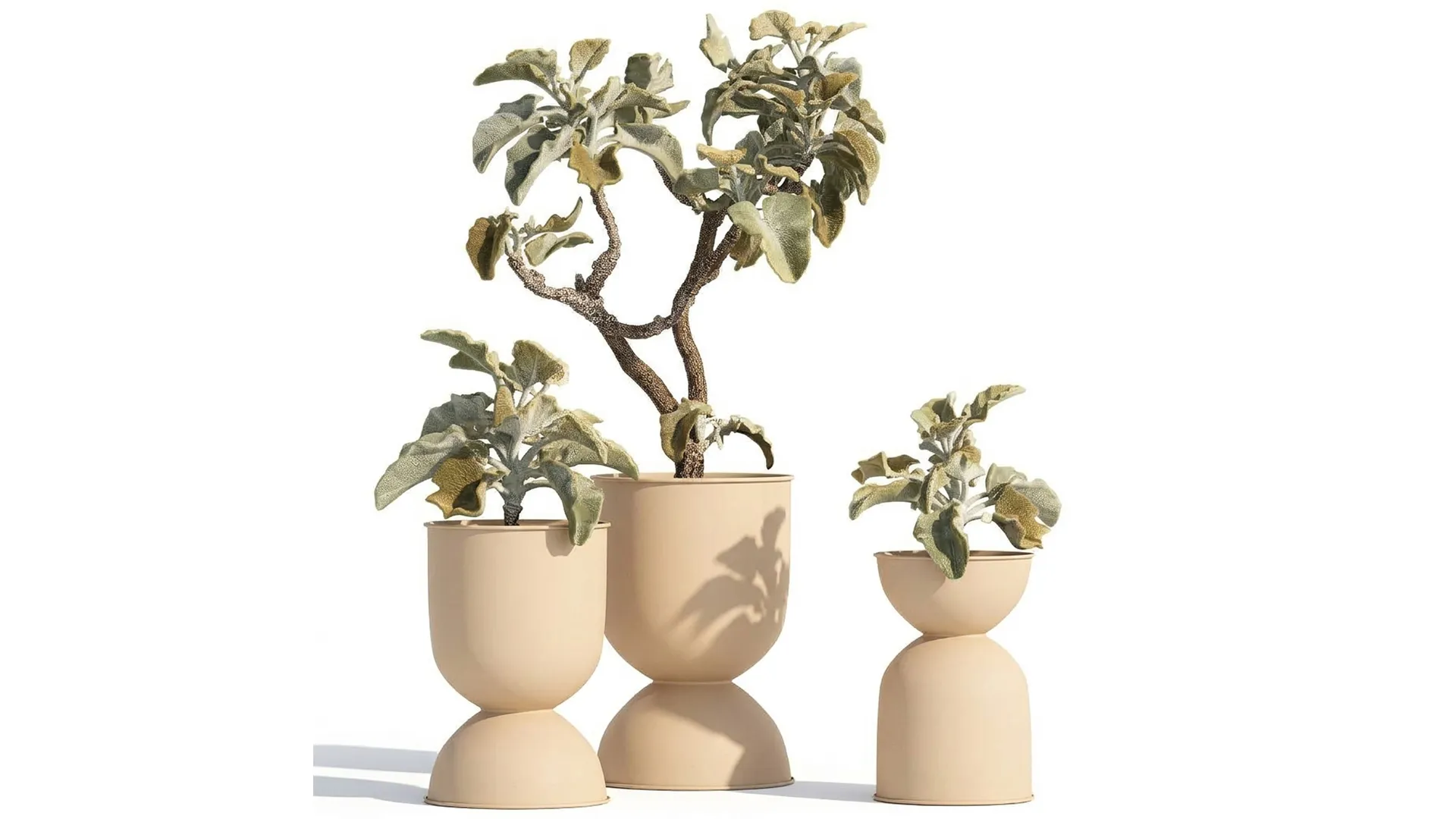 Shrubs trees featuring Kalanchoe desert plants flowerpots set 3D Model .c4d .max .obj .3ds .fbx .stl .blend