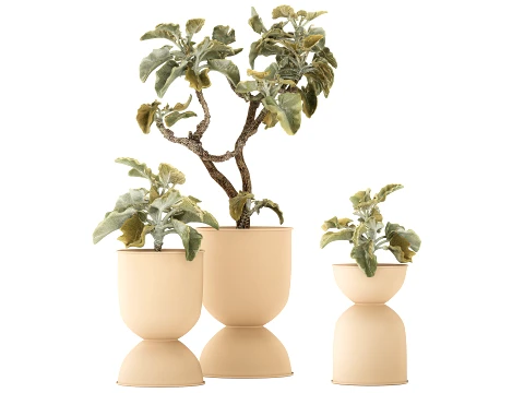 Shrubs trees featuring Kalanchoe desert plants flowerpots set 3D Model