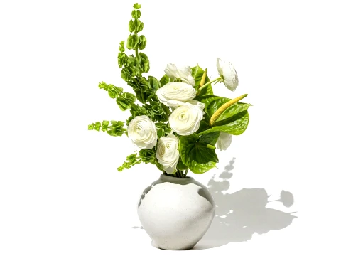 Bouquet Flowers Anthurium Moluccella Ranunculus vase decor 3D Model