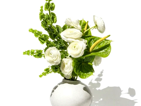 Bouquet Flowers Anthurium Moluccella Ranunculus vase decor 3D Model