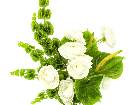 Bouquet Flowers Anthurium Moluccella Ranunculus vase decor 3D Model