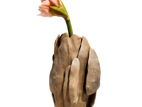 Flower bouquet Hippeastrum Amaryllis stone vase decor new 3D Model