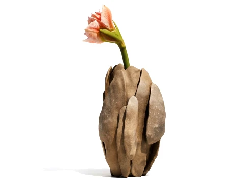 Flower bouquet Hippeastrum Amaryllis stone vase decor new 3D Model