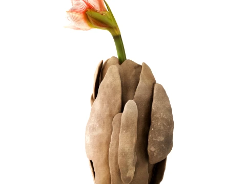Flower bouquet Hippeastrum Amaryllis stone vase decor new 3D Model