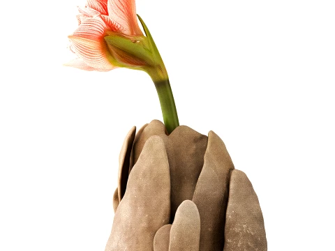 Flower bouquet Hippeastrum Amaryllis stone vase decor new 3D Model
