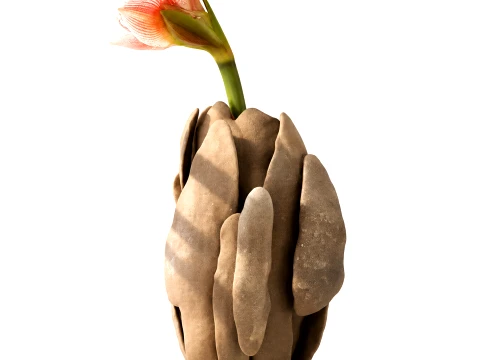 Flower bouquet Hippeastrum Amaryllis stone vase decor new 3D Model