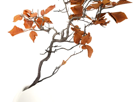 Minimalist autumn bouquet dried branches leaves decor vase 3D Model
