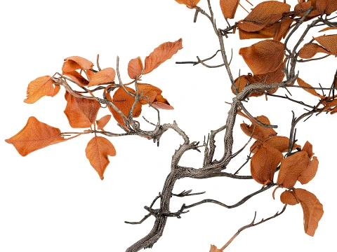 Minimalist autumn bouquet dried branches leaves decor vase 3D Model