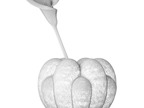 Minimalist flower bouquet Calla 101 Copenhagen new vase decor 3D Model