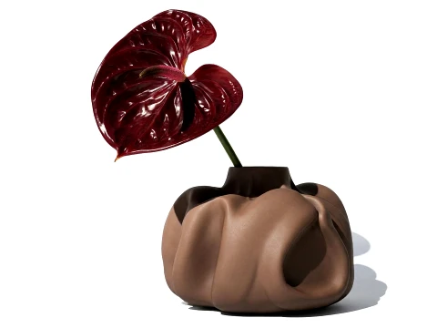 Minimalist Flower Bouquet Anthurium stem vase new decor Modèle 3D