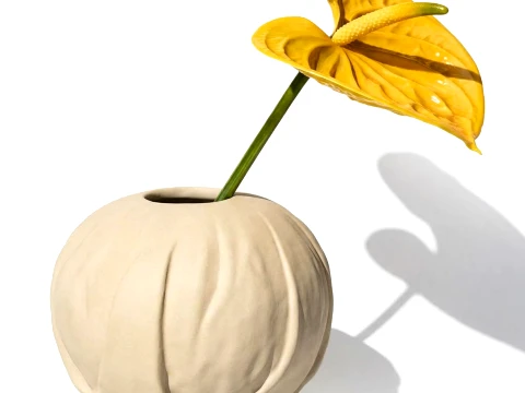 Yellow Flower Bouquet Anthurium Stem Vase New decor Modèle 3D