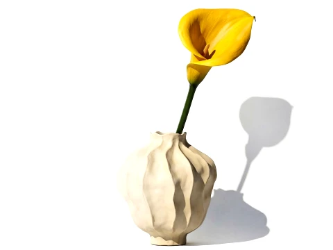 Bouquet yellow Calla lily stem modern Poppy vase decor Modèle 3D