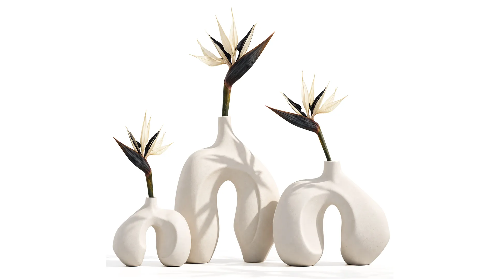 Minimalist bouquet flowers vase Strelitzia decor 3 3D Model .c4d .max .obj .3ds .fbx .stl .blend 