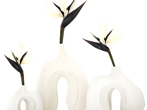 Minimalist bouquet flowers vase Strelitzia decor 3 3D Model