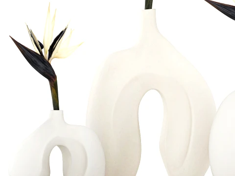 Minimalist bouquet flowers vase Strelitzia decor 3 3D Model