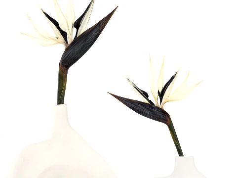 Minimalist bouquet flowers vase Strelitzia decor 3 3D Model