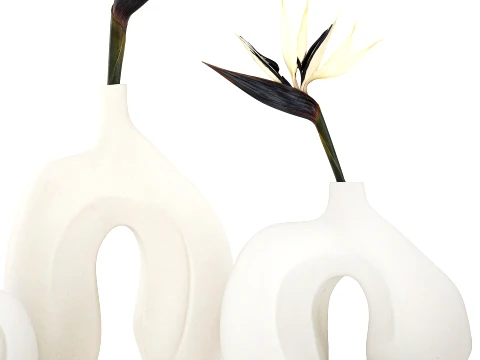 Minimalist bouquet flowers vase Strelitzia decor 3 3D Model