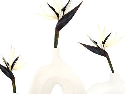 Minimalist bouquet flowers vase Strelitzia decor 3 3D Model