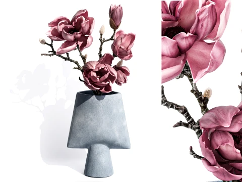 Bouquet Branches Leaves magnolia blossoms buds new Modèle 3D