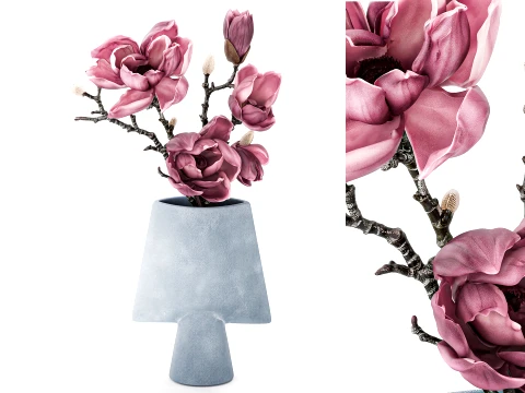 Bouquet Branches Leaves magnolia blossoms buds new 3D Model