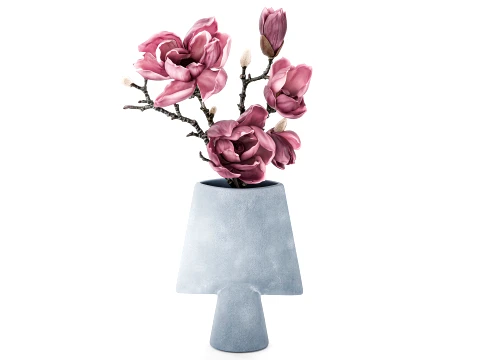 Bouquet Branches Leaves magnolia blossoms buds new 3D Model