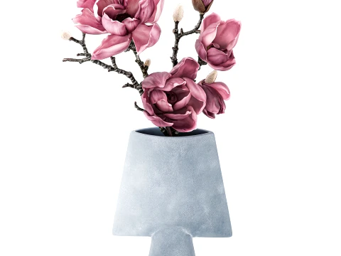 Bouquet Branches Leaves magnolia blossoms buds new 3D Model