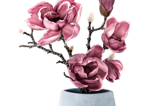 Bouquet Branches Leaves magnolia blossoms buds new 3D Model
