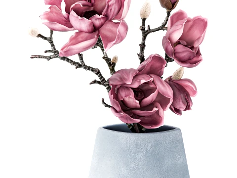 Bouquet Branches Leaves magnolia blossoms buds new 3D Model