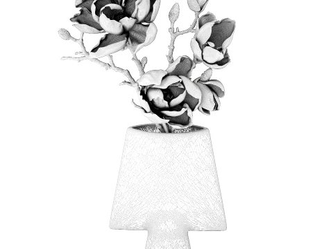 Bouquet Branches Leaves magnolia blossoms buds new 3D Model