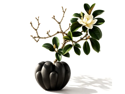 Bouquet Branches Leaves white Magnolia Blossoms decor new Modèle 3D