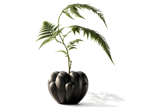 Minimalist bouquet Branches Leaves fern leaves new decor Modèle 3D