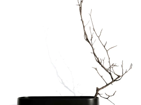 Minimalist Autumn Bouquet Dried Branches Vase 101 Copenhagen 3D Model