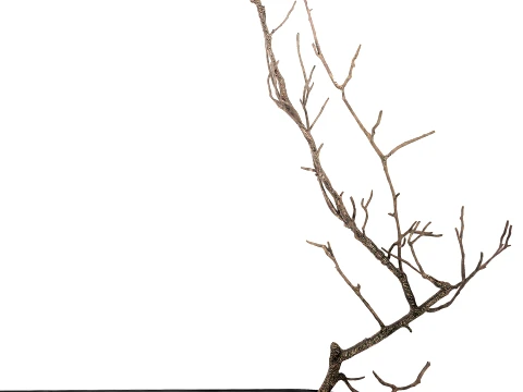 Minimalist Autumn Bouquet Dried Branches Vase 101 Copenhagen 3D Model
