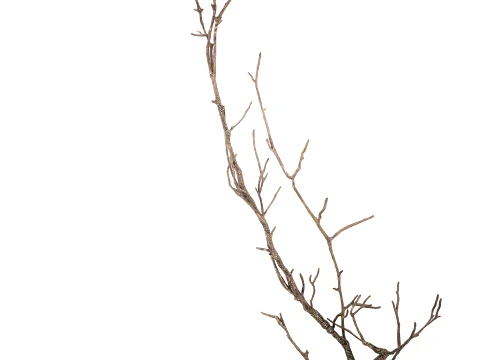 Minimalist Autumn Bouquet Dried Branches Vase 101 Copenhagen 3D Model