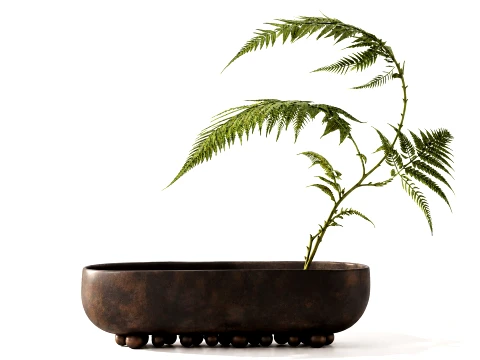 Minimalist Bouquet Branches Leaves Fern Leaves New 101 Copenhagen 3D Model