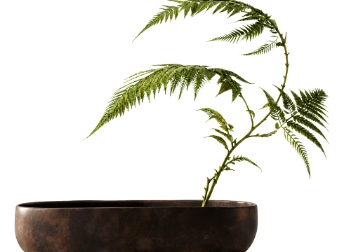 Minimalist Bouquet Branches Leaves Fern Leaves New 101 Copenhagen 3D Model