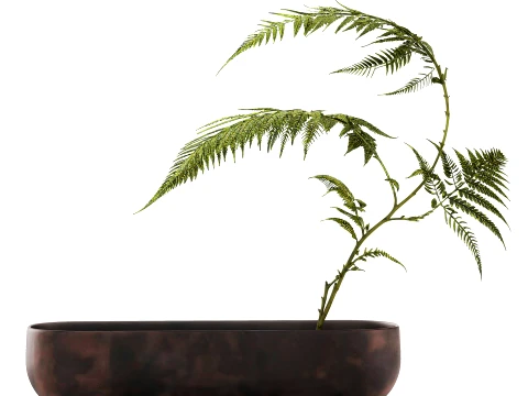 Minimalist Bouquet Branches Leaves Fern Leaves New 101 Copenhagen 3D Model