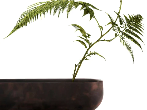 Minimalist Bouquet Branches Leaves Fern Leaves New 101 Copenhagen 3D Model