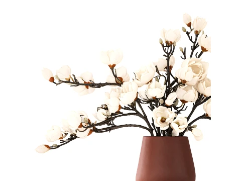 Bouquet Branches Leaves White Magnolia Blossoms vase decor 3D Model
