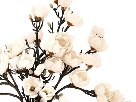 Bouquet Branches Leaves White Magnolia Blossoms vase decor 3D Model