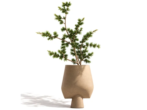 Minimalist Bouquet Branches Pine branch decor vase 3D Modell