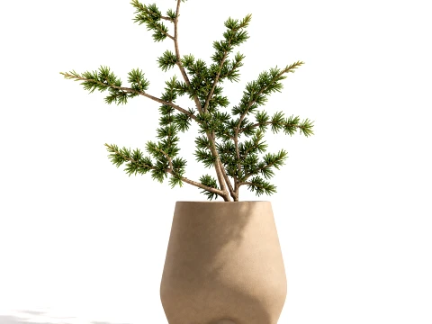 Minimalist Bouquet Branches Pine branch decor vase 3D Model
