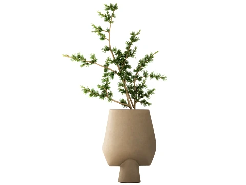 Minimalist Bouquet Branches Pine branch decor vase 3D Model