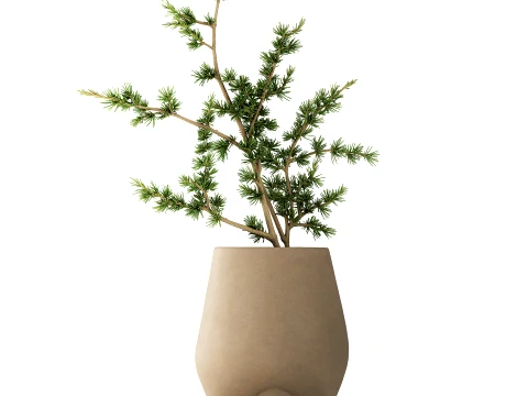 Minimalist Bouquet Branches Pine branch decor vase 3D Model