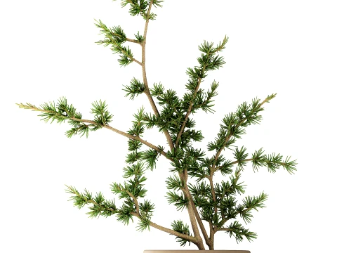 Minimalist Bouquet Branches Pine branch decor vase 3D Model