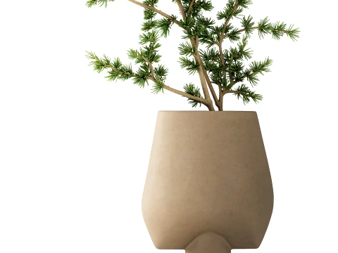 Minimalist Bouquet Branches Pine branch decor vase 3D Model
